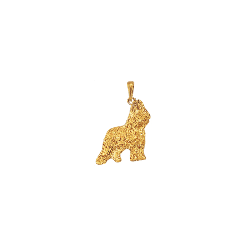 Pendentif chien Briard plaqué or - 31 MM - La Petite Française