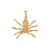 Pendentif araignée mygale plaqué or - 29 MM - La Petite Française