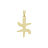 Pendentif symbole Berbère plaqué or - 30 MM - La Petite Française