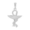 Pendentif caducée pharmacien GM argent - La Petite Française