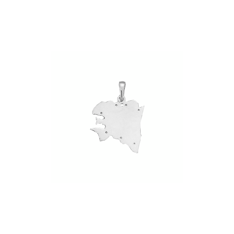 Pendentif carte Bretagne Ancestrale Or 9 carats gris - 29 MM - La Petite Française