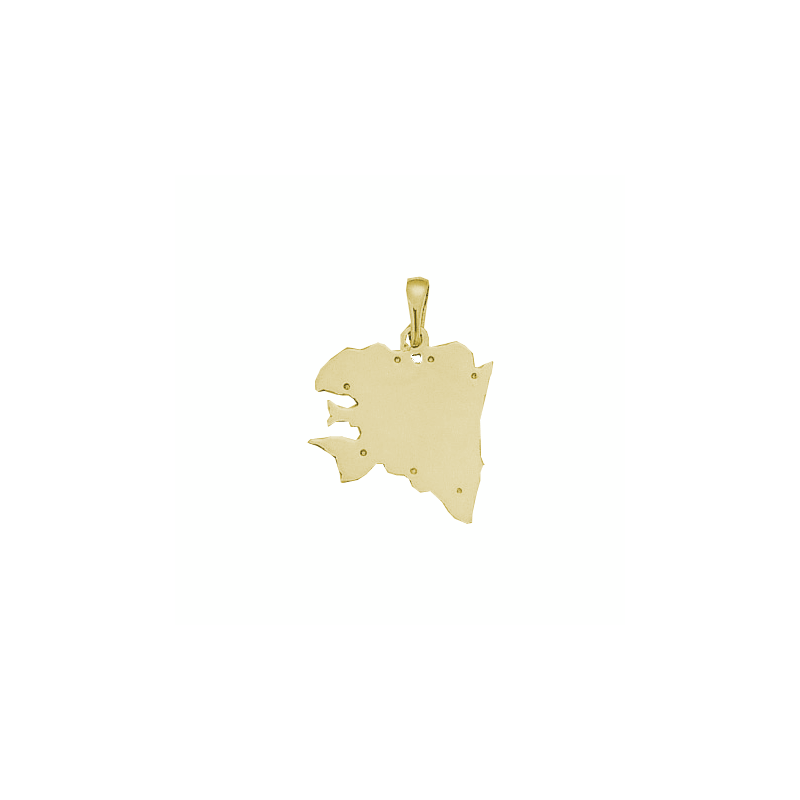 Pendentif carte Bretagne Ancestrale Or 9 carats jaune - 29 MM - La Petite Française