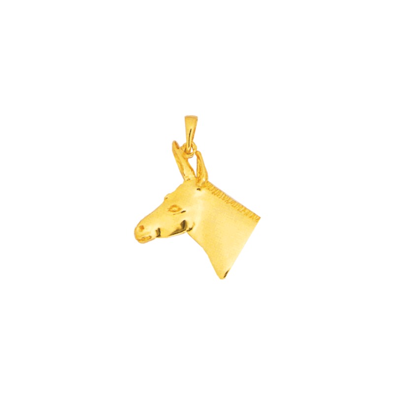 Pendentif tête d'âne Or 9 carats jaune - 34 MM - La Petite Française