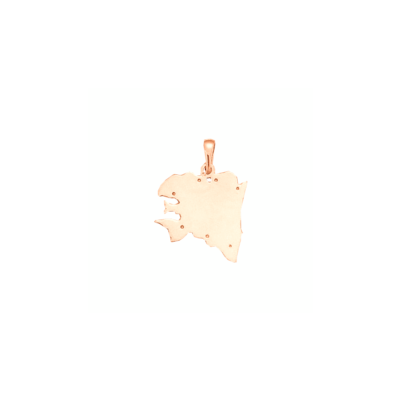 Pendentif carte Bretagne Ancestrale Or 18 carats rose - 29 MM - La Petite Française