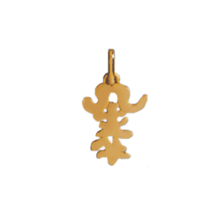 Pendentif idéogramme chinois taureau Or 9 carats jaune - La Petite Française