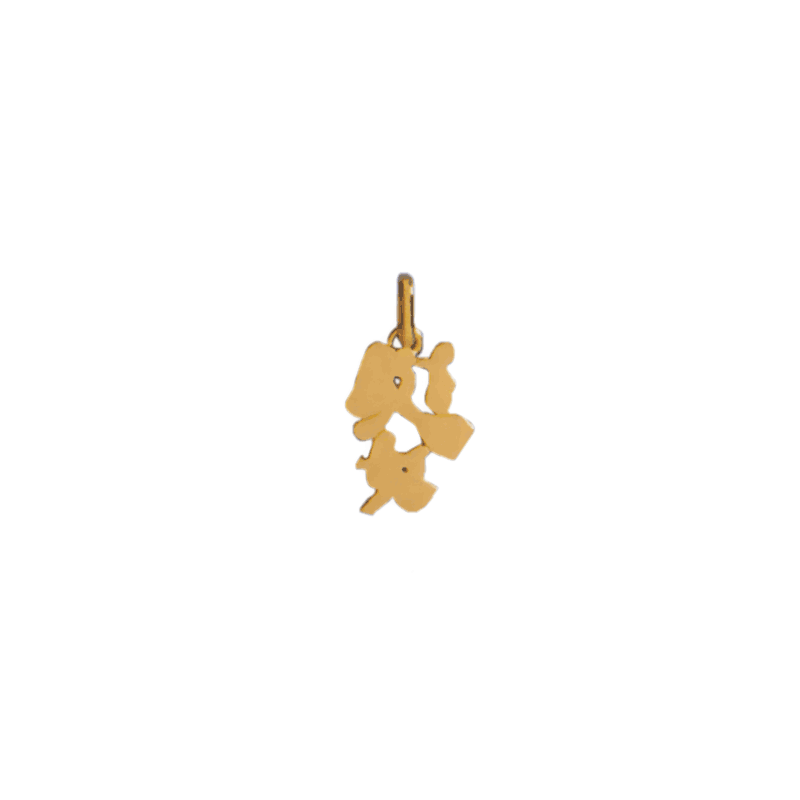 Pendentif idéogramme chinois vierge Or 9 carats jaune - La Petite Française