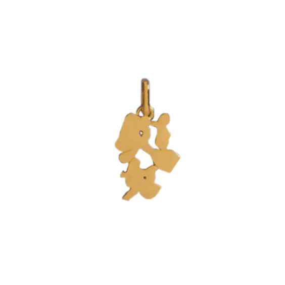 Pendentif idéogramme chinois vierge Or 9 carats jaune - La Petite Française