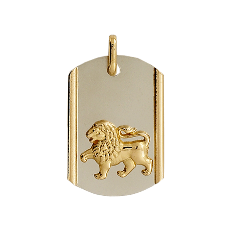 Pendentif lion plaque Or 18 carats bicolore - La Petite Française