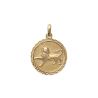 Pendentif lion rond ciselé plaqué or - La Petite Française