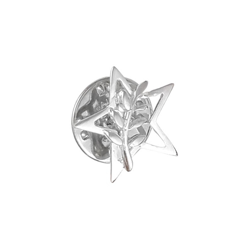 Pendentif ou pin's étoile et acacia argent - La Petite Française
