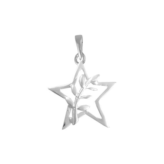 Pendentif ou pin's étoile et acacia Or 18 carats gris - La Petite Française