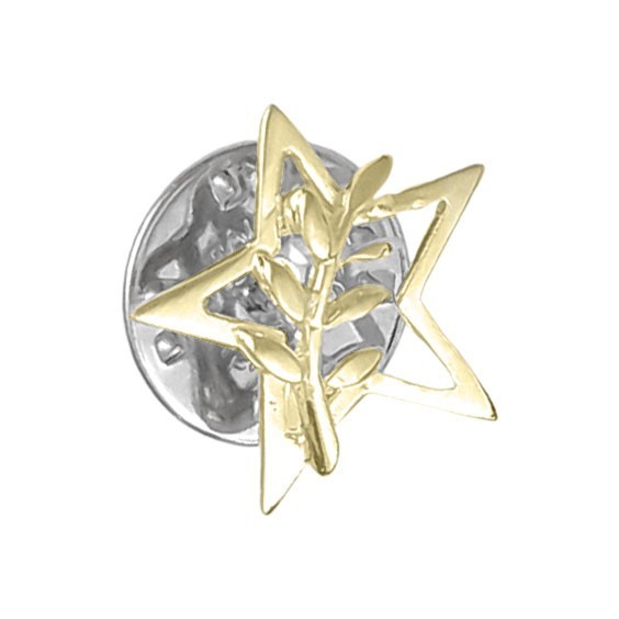 Pendentif ou pin's étoile et acacia Or 9 carats jaune - La Petite Française