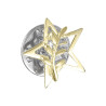 Pendentif ou pin's étoile et acacia Plaqué Or - La Petite Française