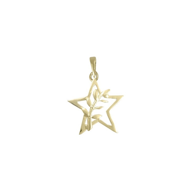 Pendentif ou pin's étoile et acacia Or 9 carats jaune - La Petite Française