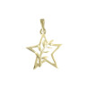Pendentif ou pin's étoile et acacia Plaqué Or - La Petite Française