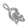 Pendentif scorpion argent  - La Petite Française