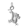 Pendentif dragon en argent  - Bijouterie La Petite Française