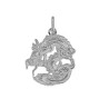 Pendentif dragon argent  - Bijouterie La Petite Française