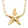 Collier Etoile de mer  plaqué or  - Bijouterie La Petite Française