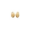 Boucles d'oreilles coquillage Cauri plaqué or  - Bijouterie La Petite Française
