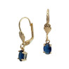 Boucles d'oreilles dormeuses ovale bleu marine en plaqué or  - Bijouterie La Petite Française