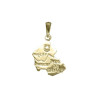 Pendentif carte pays de Savoie plaqué or  - La Petite Française