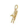 Pendentif ramoneur plaqué or  - La Petite Française