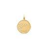 Pendentif constellation scorpion plaqué or et zirconiums  - Bijouterie La Petite Française