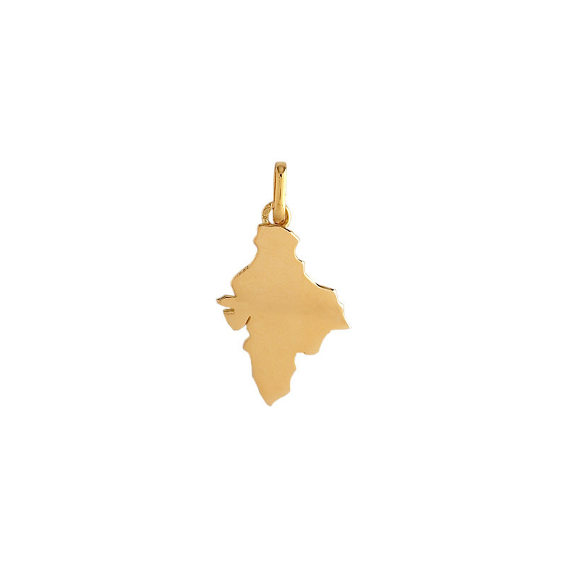 Pendentif carte de l'Inde Or 9 carats  