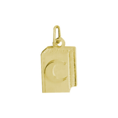 Pendentif Coran Or 9 carats  
