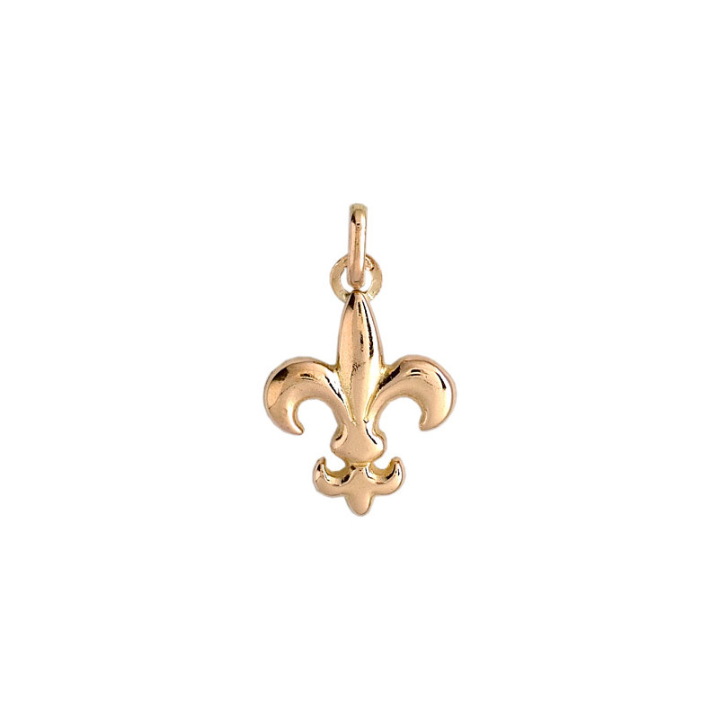 Pendentif Fleur de Lys Or 9 carats  - 21 X 13 MM 