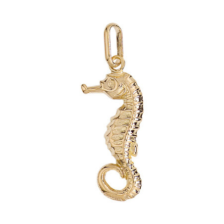 Pendentif Hippocampe Or 9 carats  - 34 MM- Bijouterie La Petite Française