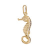 Pendentif Hippocampe Or 9 carats  - 34 MM- Bijouterie La Petite Française