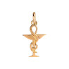 Pendentif caducée pharmacien Or 9 carats  