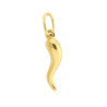 Pendentif corne Or 9 carats- Bijouterie La Petite Française