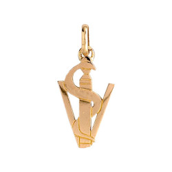 Pendentif caducée vétérinaire Or 9 carats  jaune  - BijouterieLa Petite Française