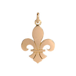 Pendentif Fleur de Lys Or 9 carats  - 27 X 18 MM 