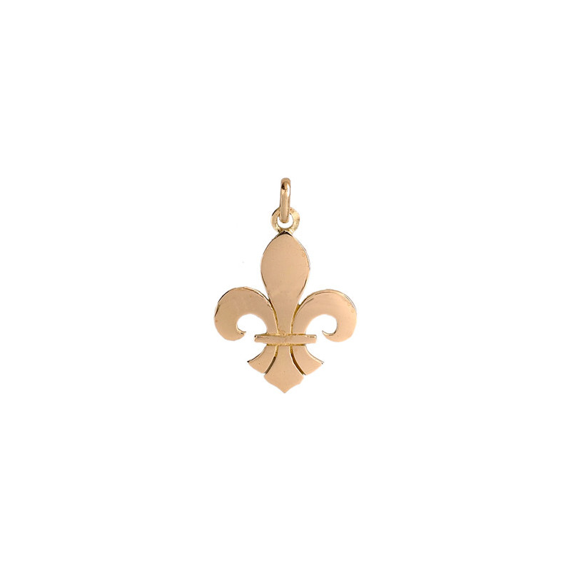 Pendentif Fleur de Lys Or 9 carats  - 27 X 18 MM 