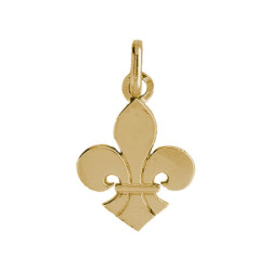 Pendentif Fleur de Lys Or 9 carats  - 21 X 14 MM 