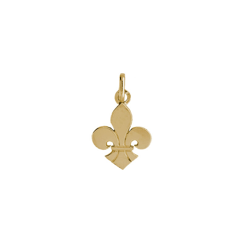 Pendentif Fleur de Lys Or 9 carats  - 21 X 14 MM 