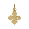 Pendentif Fleur de Lys Or 9 carats  - 21 X 14 MM 