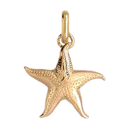 Pendentif étoile de mer Or 9 carats- Bijouterie La Petite Française