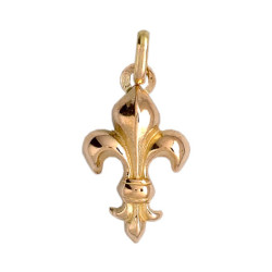 Pendentif Fleur de Lys Or 9 carats  - 21 X 11 MM 
