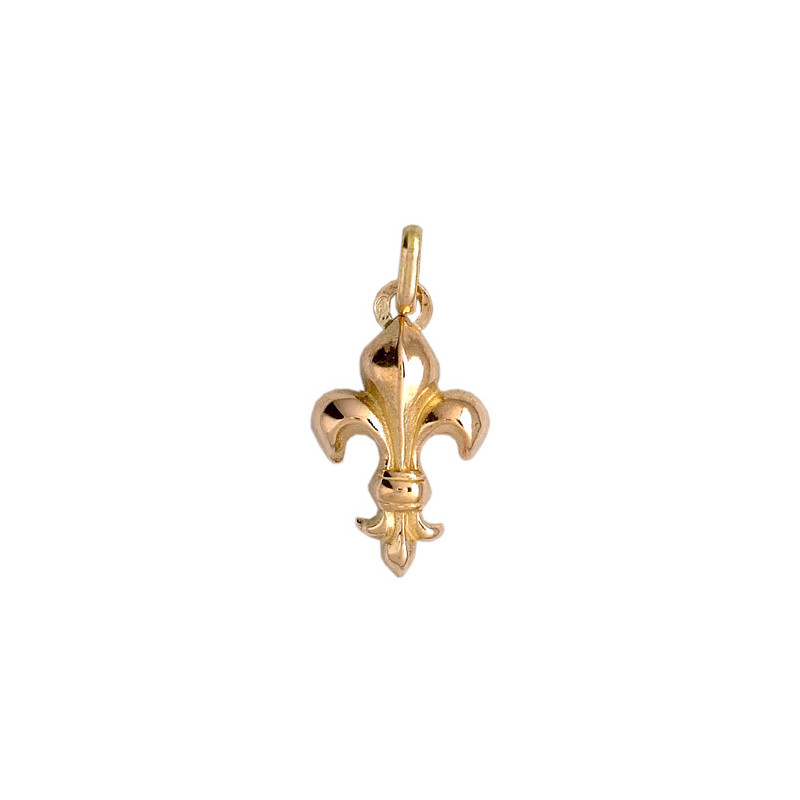 Pendentif Fleur de Lys Or 9 carats  - 21 X 11 MM 