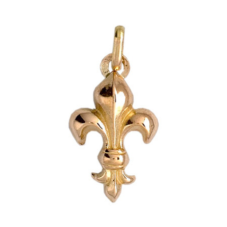 Pendentif Fleur de Lys Or 9 carats  - 21 X 11 MM 