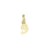 Pendentif chiffre 9 Or 9 carats  jaune - Bijouterie La Petite Française