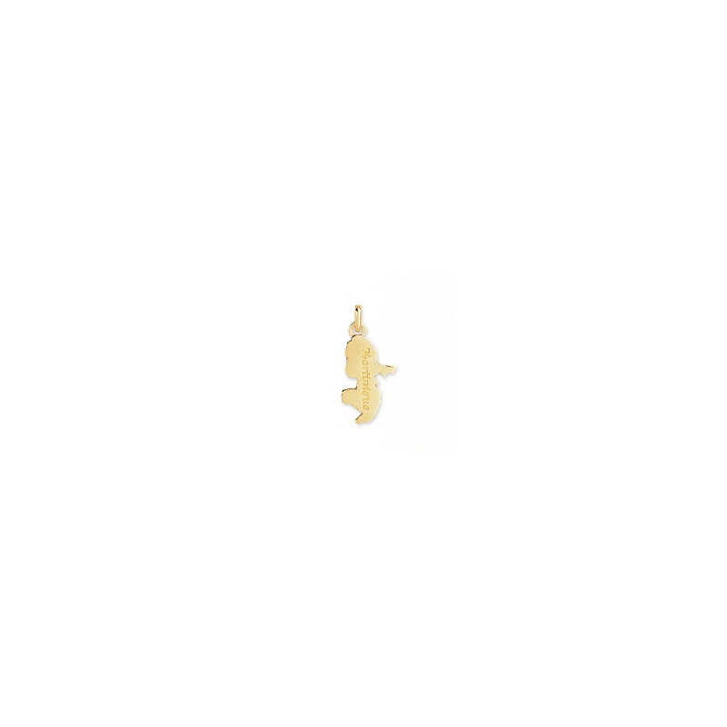 Pendentif carte Martinique Or 9 carats  - 25 MM - jaune -Bijouterie La Petite Française
