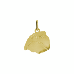 Pendentif carte de Paris – Or 9 carats jaune ou gris- Bijouterie La Petite Française