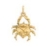 Pendentif cancer – Or 9 carats jaune ou gris- Bijouterie La Petite Française