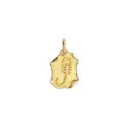 Pendentif scorpion parchemin Or 9 carats jaune - Bijouterie La Peti...
